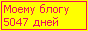 Сколько дней блогу
