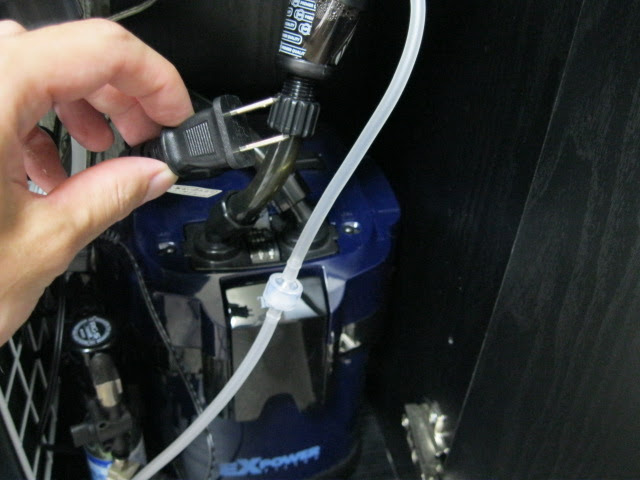 水草水槽なの 外部フィルターのフィルターマット交換