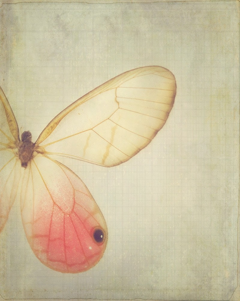 Popular items for butterfly home decor on Etsy
