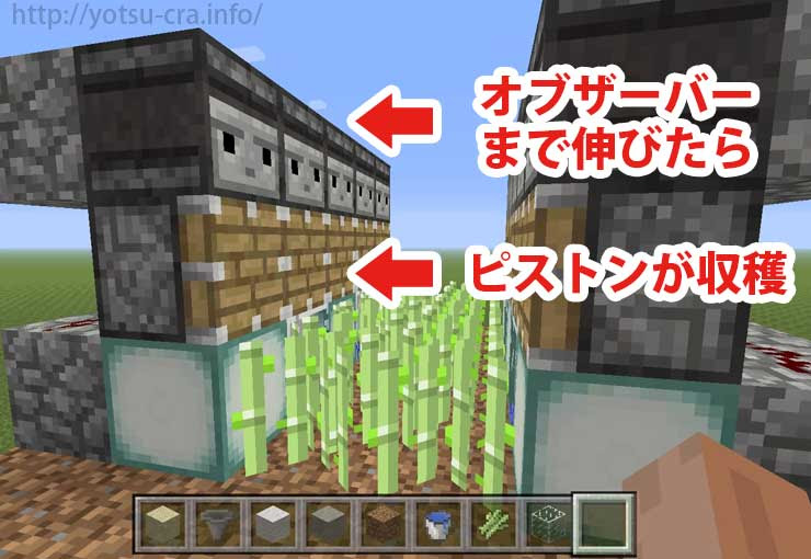 最高のマインクラフト 心に強く訴えるマインクラフト サトウキビ 自動 オブザーバー
