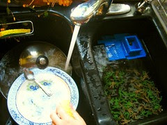 battlefield in the kitchen sink