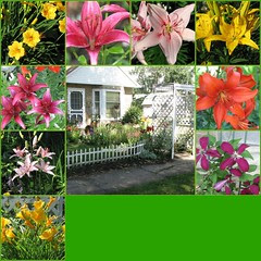 Floral Mosaic
