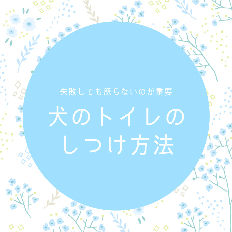 怒ら ない 方法 怒らない方法 その途中 Docstest Mcna Net
