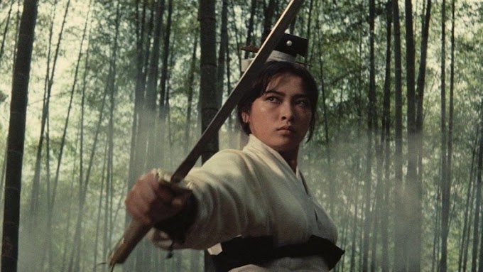 Regarder A Touch of Zen streaming vf complet 1971 en ligne HD Français