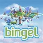 Oefenen op Bingel.be