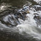 Wave of Water by Felixishim