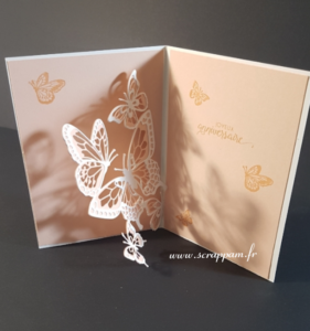 Carte Pop Up Papillons Demonstratrice Independante Stampin Up