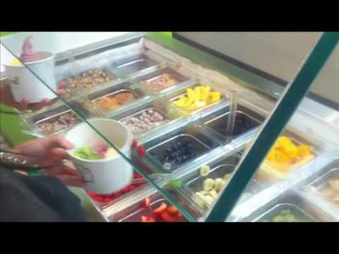 nc yogurtland Yogurt the Frozen Art  of  Worldnews.com Yogurtology