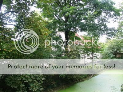 Image hosted by Photobucket.com