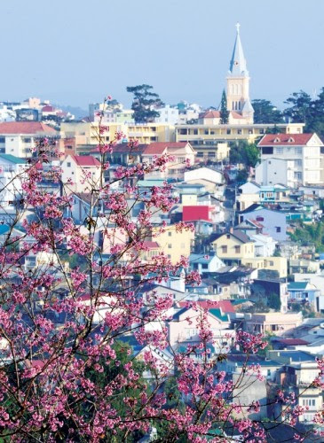 Dalat5