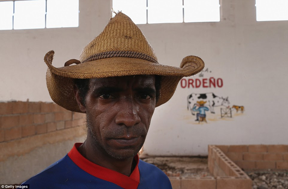 In Gabriel, Cuba, there are very few cars, workers harvest tomatoes by hand, and goods are transported by horse and buggy or tractor