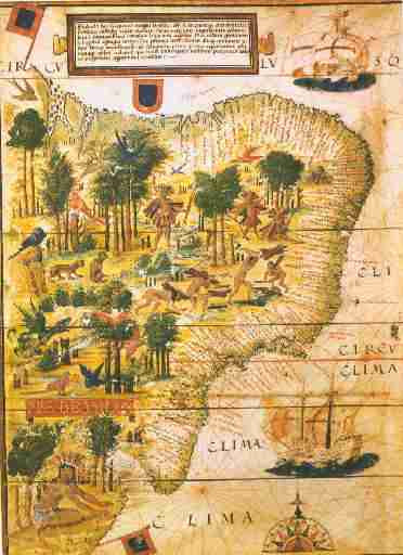 Primeiras Explorações do Brasil (1501 - 1515) - História 