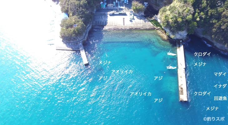 岩地港 伊豆半島磯釣り空撮情報