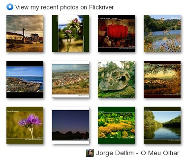 Jorge Delfim - O Meu Olhar - View my recent photos on Flickriver