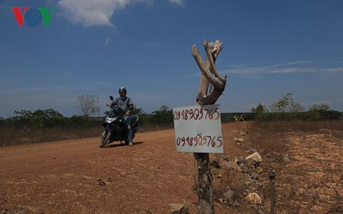 Phan Thiết: Đất nông nghiệp được rao bán khắp nơi
