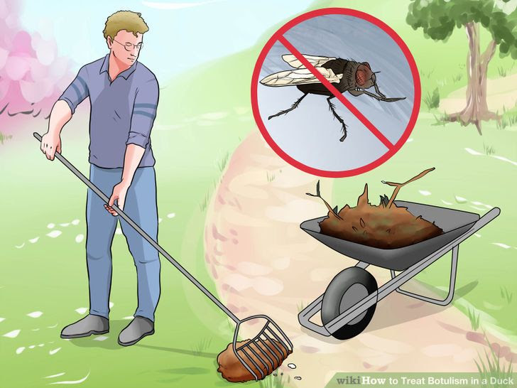 Treat Botulism in a Duck Step 8 Version 2.jpg