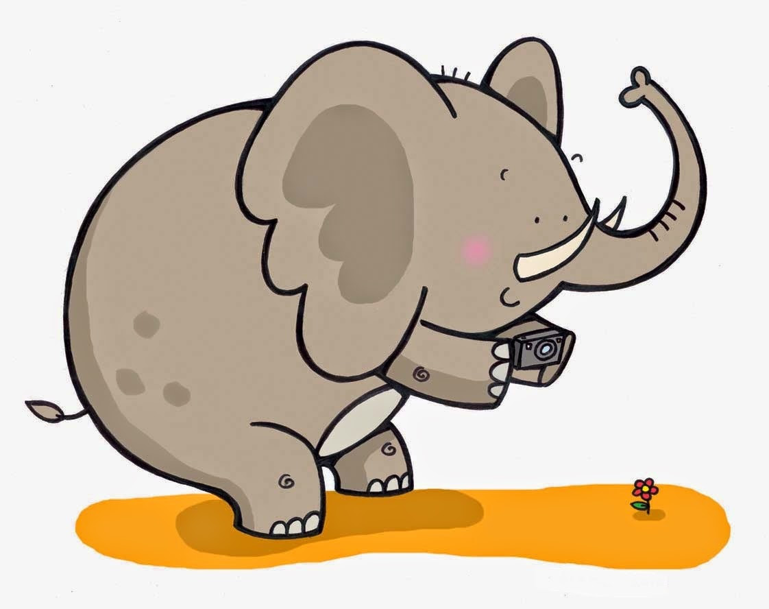 Gambar Lucu Binatang Animasi Terlengkap Display Picture Unik