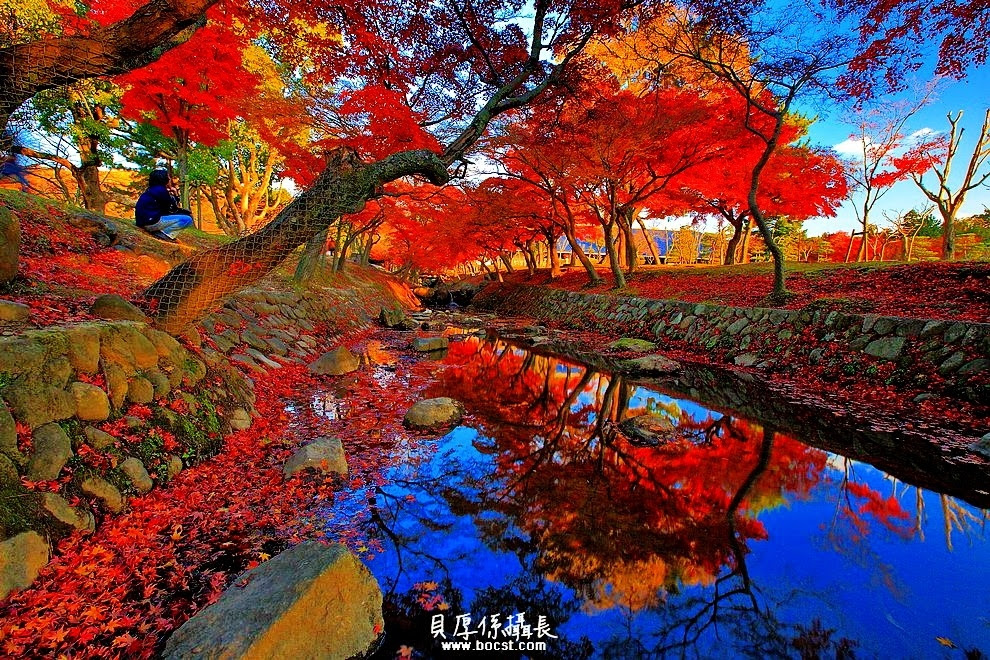 圖檔