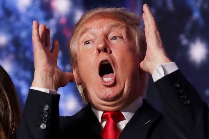 Image result for trump and crazy