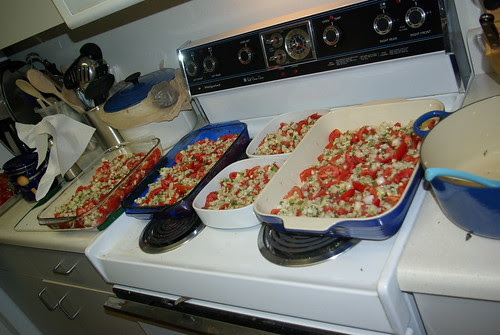 2009-08-31 Making Sauce (6)