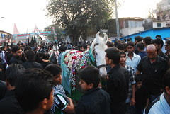 Zuljana Protected His Master While Yazids  Eunuchs Shot Him With Arrows by firoze shakir photographerno1