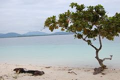 palawan