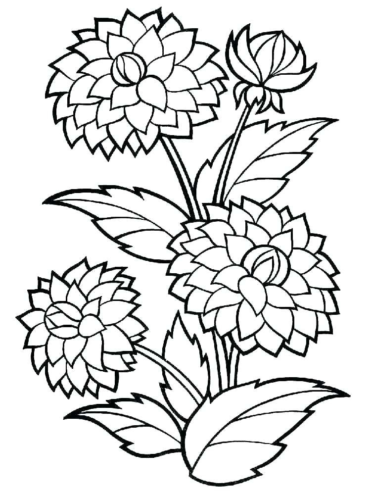Download Big Flower Coloring Pages at GetColorings.com | Free ...