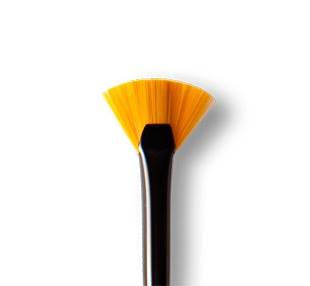 What's the fan brush for