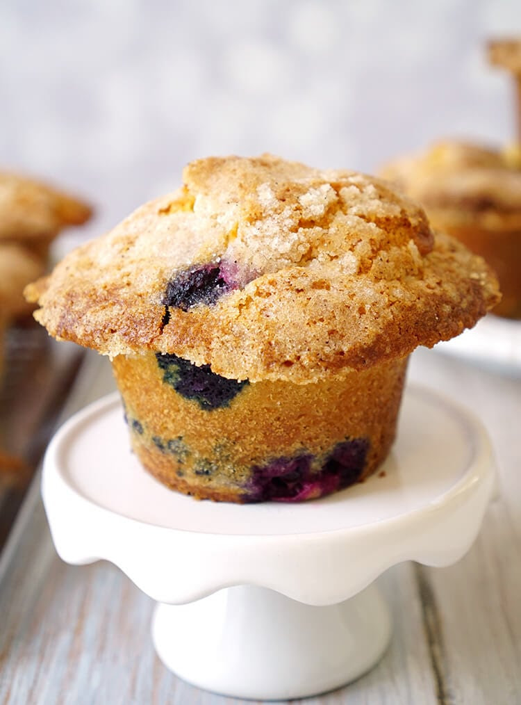 The Best Bakery-Style Blueberry Muffin Recipe Ever ...