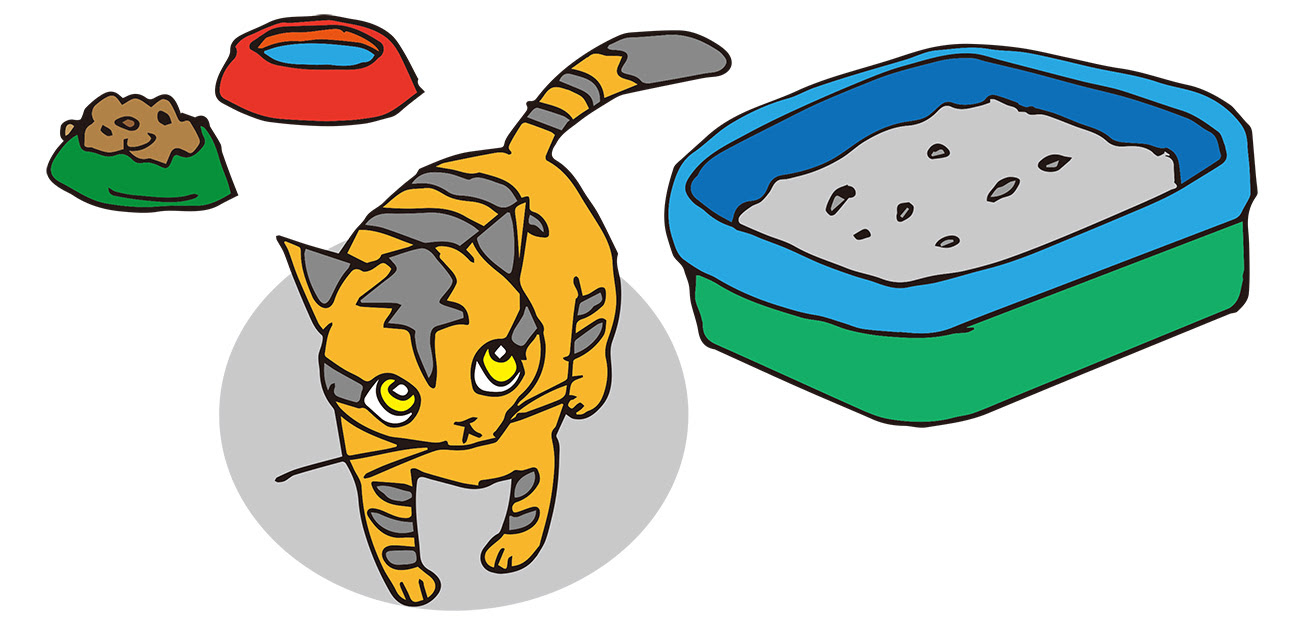 旅行中 猫に快適に留守番してもらうために 猫の総合情報サイト ペットスマイルニュースforネコちゃん