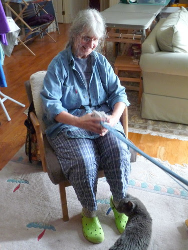 Card Weaving with Cat #2