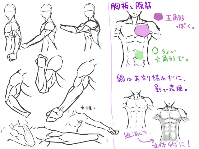 ぽたぽたぽた 簡単な筋肉講座 これで貴方も細マッチョ