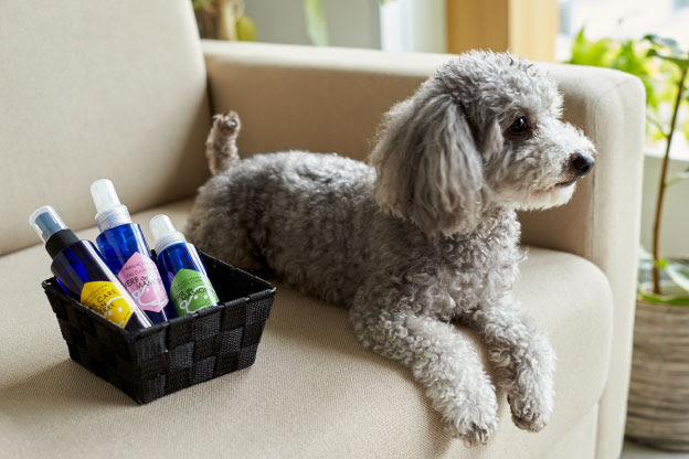 わんのはな 愛犬愛猫のオーガニックペット用品 Campaign 1ペットショップ