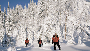 Scoprite i nostri parchi sotto la neve, © TQ/J.-P. Huard Scoprite i nostri parchi sotto la neve