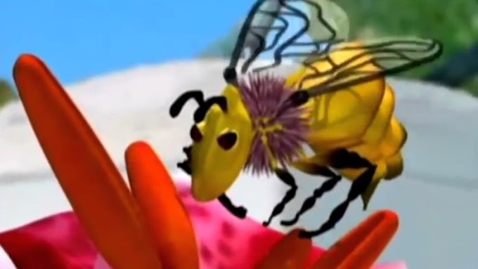 Sleduj Plan Bee 2007 Celý Film Online Animovaný CZ Dabing HD