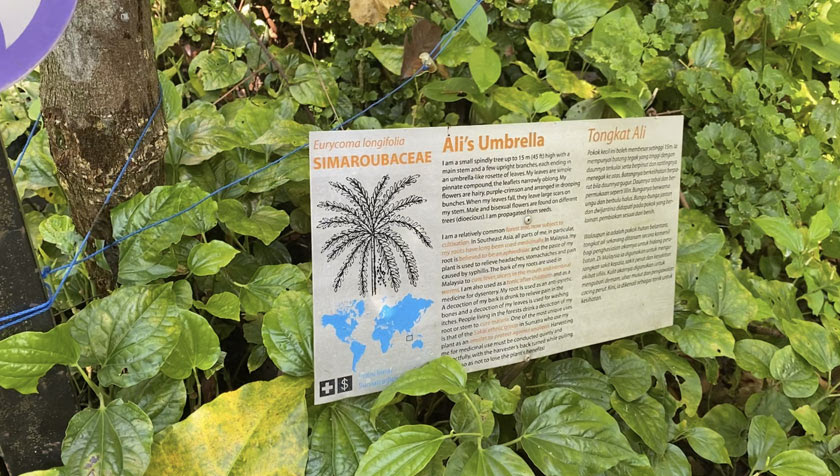 'Muzium flora' ini wajib dilawati jika anda pencinta ...