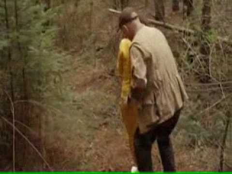 Video 3gp Mp4 Webm Play