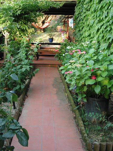 DSCN7211.JPG by flaminia.zanieri