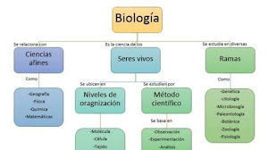 Mapa Conceptual De La Biología: Una Herramienta Indispensable Para
Estudiar La Vida