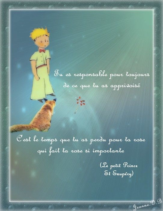 Le Petit Prince Jdb