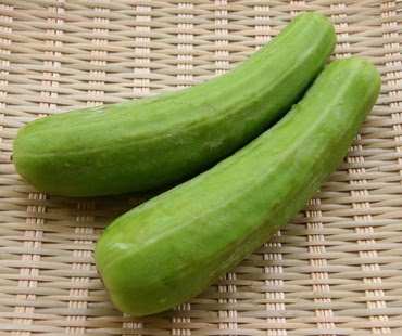 うりの花はどんなの 花言葉は 誠実 男嫌い よき便り ユウガオの花言葉も解説 お役立ち 季節の耳より情報局