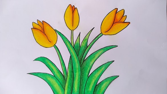 Cara Mewarnai Bunga Tulip Dengan Crayon : Gambar Mewarnai Bunga Tulip Gambar Mewarnai : Cara menggambar dan mewarnai bunga tulip dengan crayon,pensil,dan spidol.