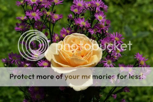 HAZ CLICK PARA ENTRAR Y VER MAS FOTOS