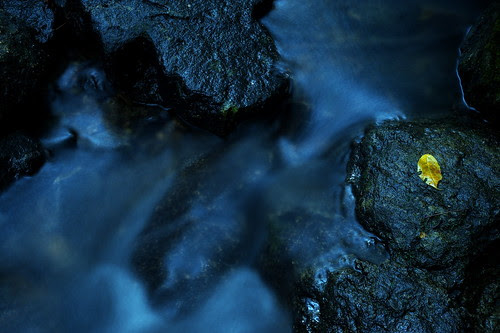 _DSC0253