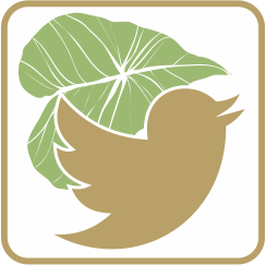 ”twitter”