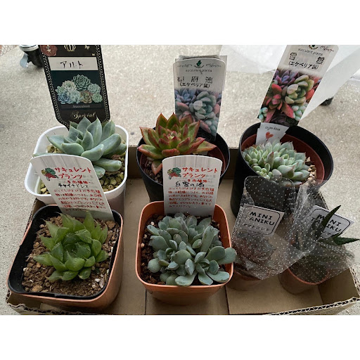 イメージ