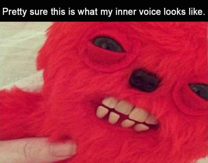 dailyhaha funny pictures