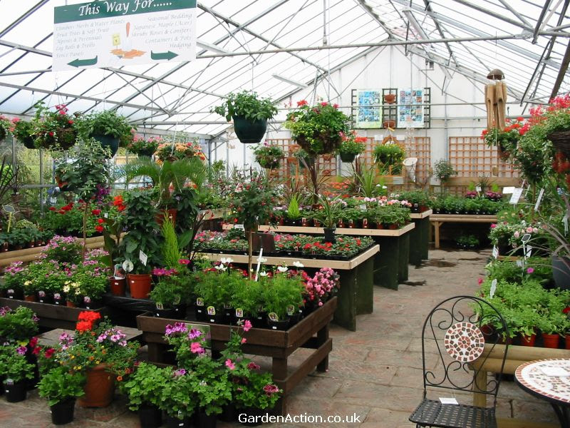 Littlehurst Nurseries Garden Centre Littlehurst Nurseries Garden Centre on Garden Center Layout Design
id=76768