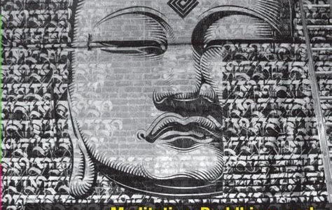 Free Read Evolving Dharma: Meditation, Buddhism, and the Next Generation of Enlightenment Paperback PDF