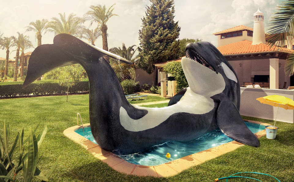 Animals 3D Illustrations